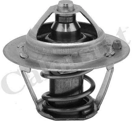 Термостат Ford Fiesta IV/Focus 1.4/1.6i 16V 97-12 (82 C) Vernet TH6245.82J (фото 1)