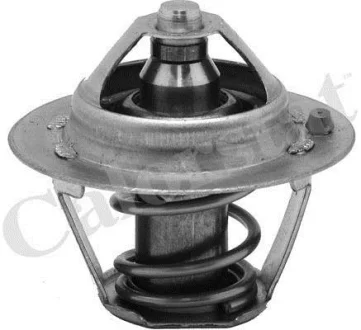 Термостат Ford Fiesta IV/Focus 1.4/1.6i 16V 97-12 (82 C) Vernet TH6245.82J