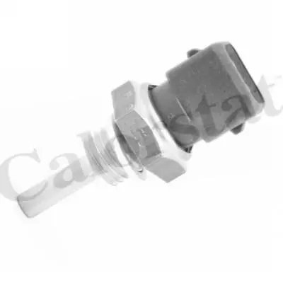Датчик температури Kia Sportage/ Nissan Primera/Sunny 1.3-2.9 90-03 Vernet WS3002 (фото 1)