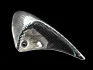 Вказувач повороту передн прав, колір повороту: прозора PEUGEOT SPEEDFIGHT II, SPEEDFIGHT II AC, SPEEDFIGHT II LC 50/100 2000-2005 VICMA VIC-6846 (фото 1)