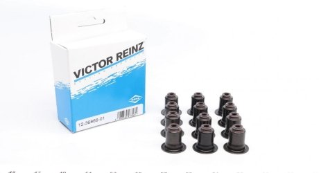 Комплект прокладок, стержень клапана REINZ VICTOR REINZ 12-36866-01