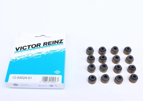 Сальник клапана (впуск/випуск) Toyota RAV 4 00- VICTOR REINZ 12-54024-01