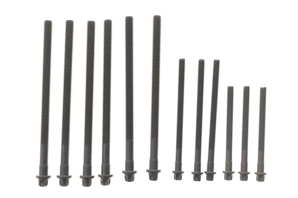 Болти головки (к-кт 12шт.) BMW 1(E87)/3 (E46/E91)/5 (E60)/X3 (E83) 1.6/1.8/2.0 00-12 N40/N42/N45/N46 REINZ VICTOR REINZ 14-32314-01 (фото 1)