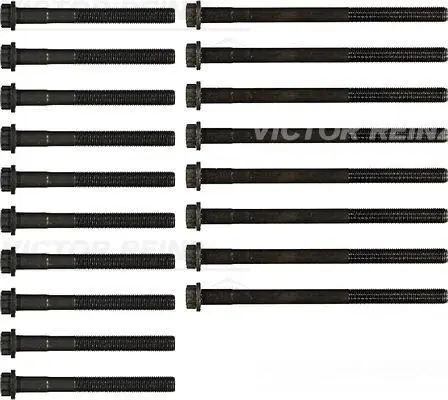 Комплект болтів головки циліндра VICTOR REINZ 145503401 (фото 1)