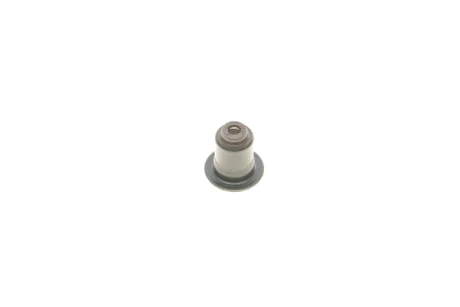 Сальник клапана (впуск/випуск) BMW 5 (G30/F90) 17- B48 B16 REINZ VICTOR REINZ 70-36866-00