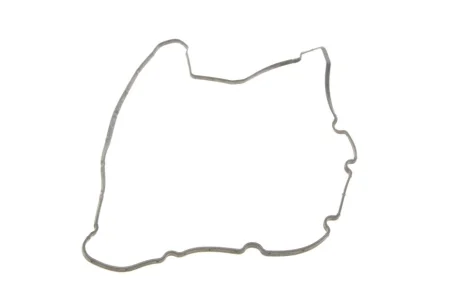 Прокладка кришки клапанів Fiat Scudo 2.0JTD, DW10/DW12 REINZ VICTOR REINZ 71-34404-00