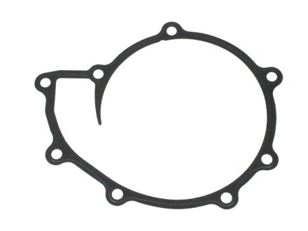 Фото прокладка, Водяний насос VICTOR REINZ 713671100 Прокладка, Водяний насос VICTOR REINZ 713671100