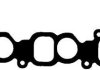 Прокладка впускного колектора ISUZU D-MAX I, D-MAX II HITACHI ZX 2.5D/3.0D VICTOR REINZ 715403100 (фото 1)