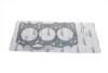 Прокладка ГБЦ Skoda Fabia/VW Polo 1.4 TDI 03- VIKA Vika 11031389901 (фото 1)