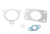 Комплект прокладок турбины Audi A6/A8/VW Passat 2.5 TDI 00-05 Vika 11451790801 (фото 1)