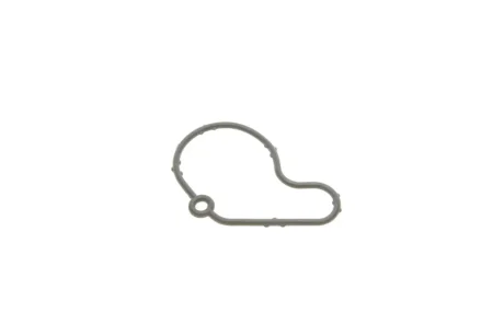 Прокладка насосу вакуумного VW Golf IV/Caddy II 95-/Skoda Fabia 1.9SDI/TDI 95-07 Vika 61450807001
