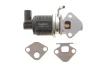 Клапан EGR Skoda Fabia I/Octavia I-II/VW Cadyy II-III/Golf IV/V 1.4/1.6 99-08 WAHLER 712055D (фото 1)