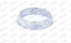 Прокладка випускної системи DAIHATSU CHARADE VIII TOYOTA YARIS 1.0LPG/1.3/1.33 08.05- WALKER WALK80763 (фото 6)