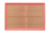 Фільтр повітряний Renault Master/Opel Movano 2.3CDTI 10- WIX FILTERS WA9670 (фото 1)