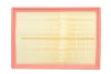 Фільтр повітряний Renault Master/Nissan NV400 2.3dCi 10- WIX FILTERS WA9954 (фото 1)