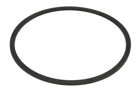 Елемент КПП, сальник T 7336 L, AGCO SAME ZF 0734307198ZF