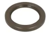 Прокладка коробки передач (45x62x7) MERCEDES VITO (W638) 2.0-2.3D 03.97-07.03 ZF 0734 319 520 (фото 1)